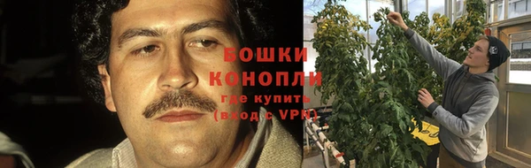 бутират Белокуриха