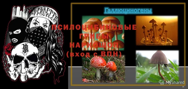 бутират Белокуриха