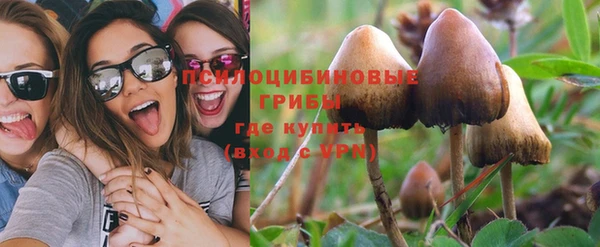 mdpv Струнино